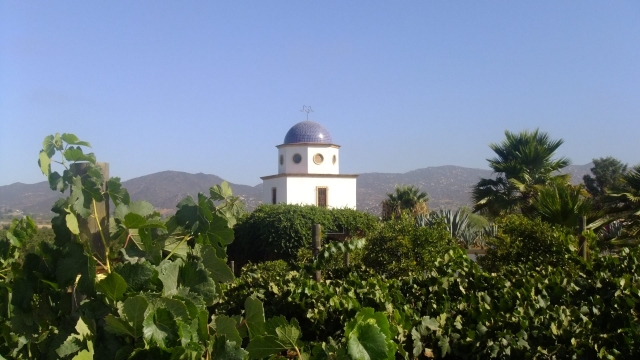 Viñedos y finca